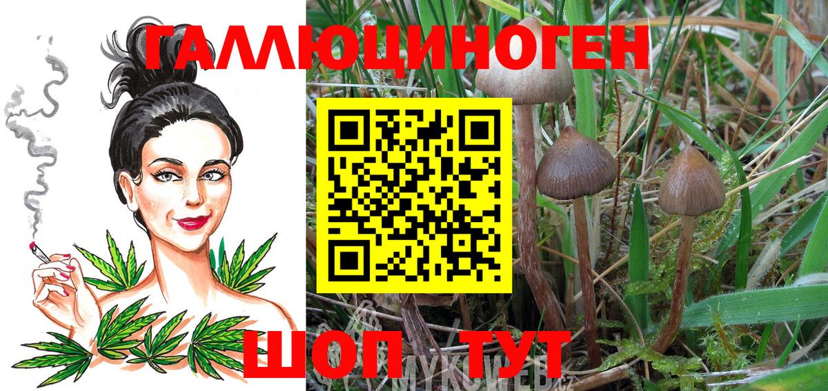 Иркутск  цены   Псилоцибиновые грибы Psilocybe  Вход с VPN  Галлюциногенные грибы MAGIC MUSHROOMS 